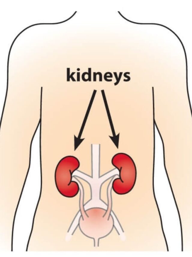 Best Exercises for kidney health